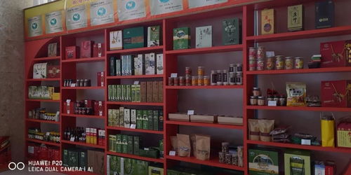 2018年武都區電子商務亮點工作 大力推進貧困地區農產品上行