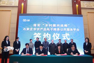 河北365集團 電子商務賦能，在新時代舞臺綻放河北企業風采